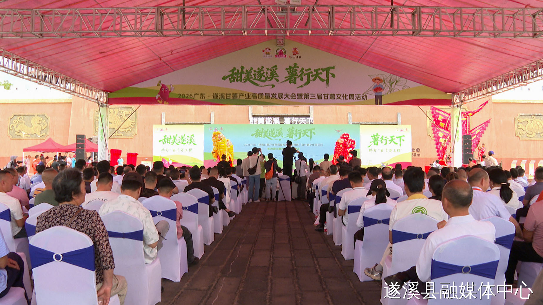 遂溪：共聚甘薯产业盛会 签约项目15个总投资47.44亿元