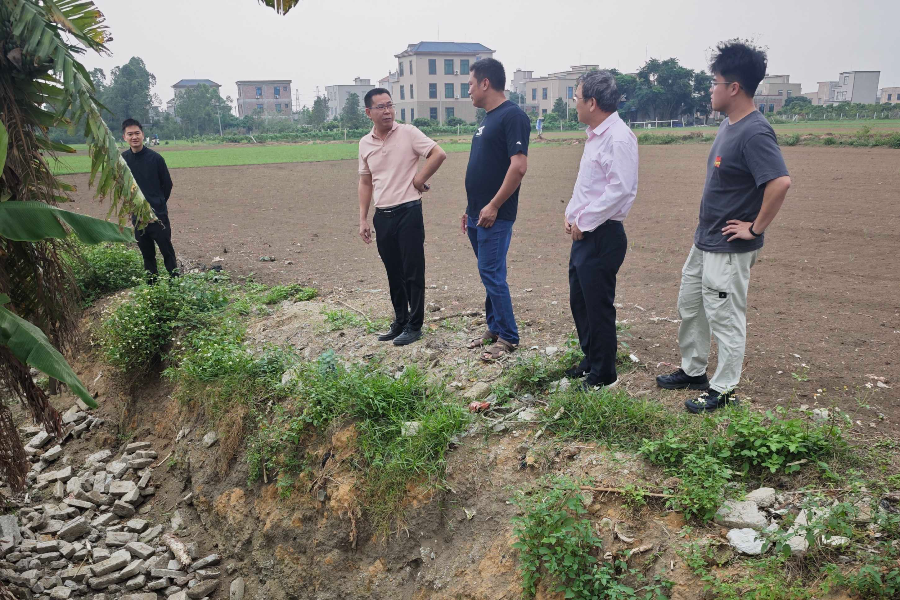 洋青镇人大:紧盯民生工程建设筑牢粮食安全根基