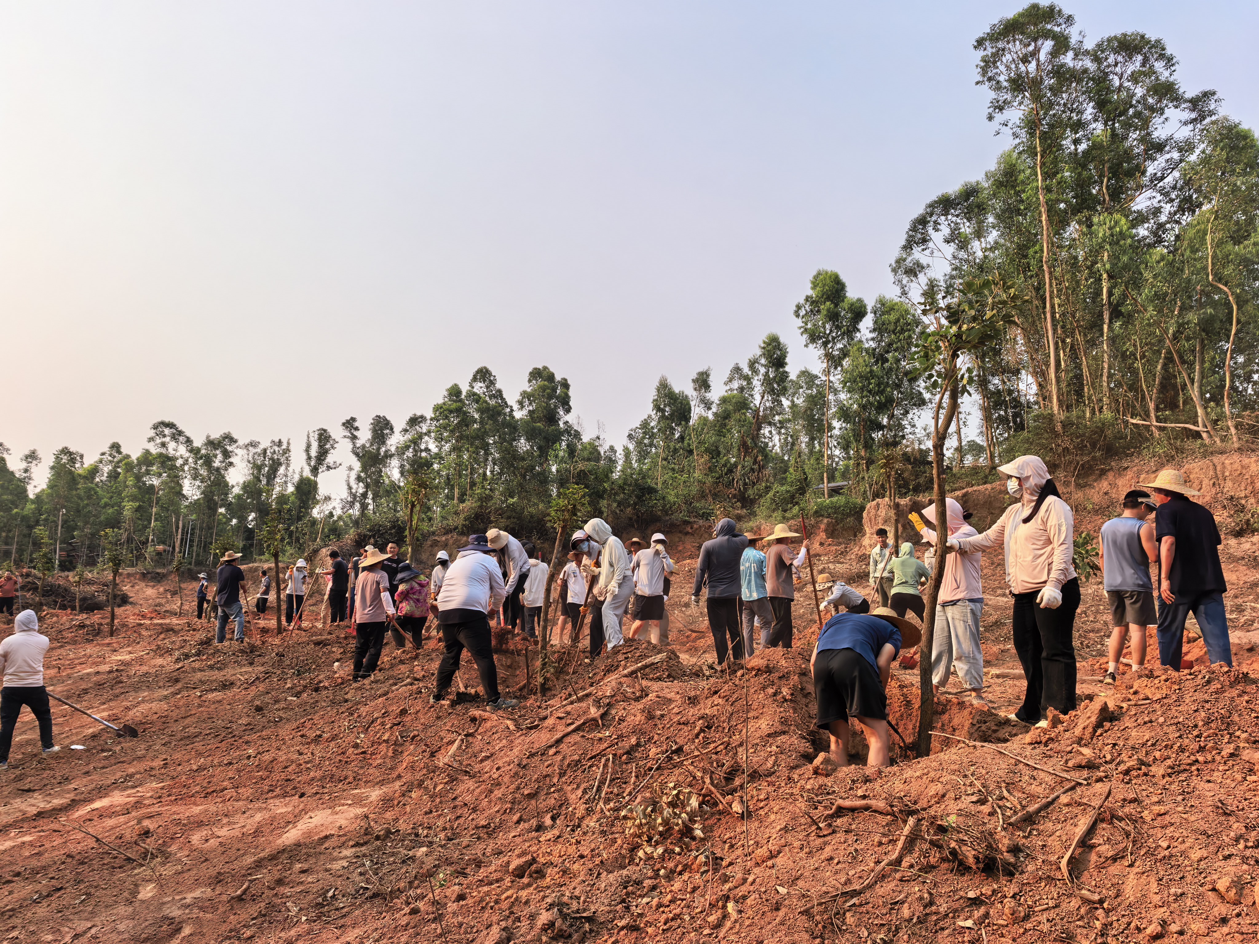 江洪镇开展“百花谷”绿化植树活动