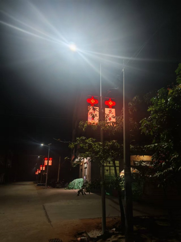 图9：镇区道路路灯完成后.jpg