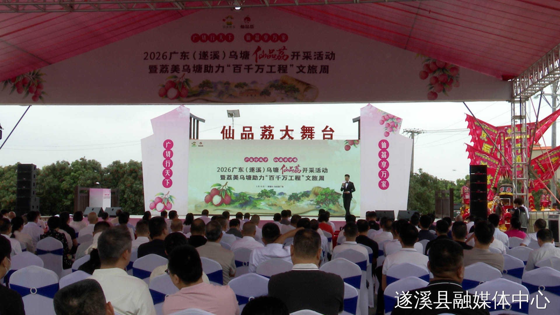 遂溪乌塘“仙品荔”开采上市 跑好广东荔枝营销“第一棒”