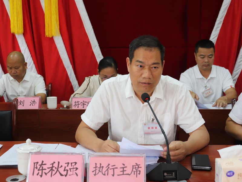 镇党委书记陈秋强发表讲话.JPG