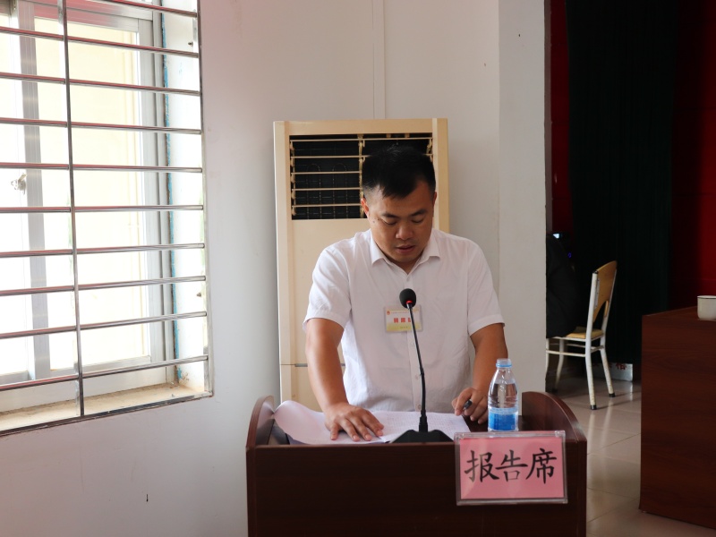 镇党委委员、副镇长胡寿作《乐民镇政府工作报告》.JPG