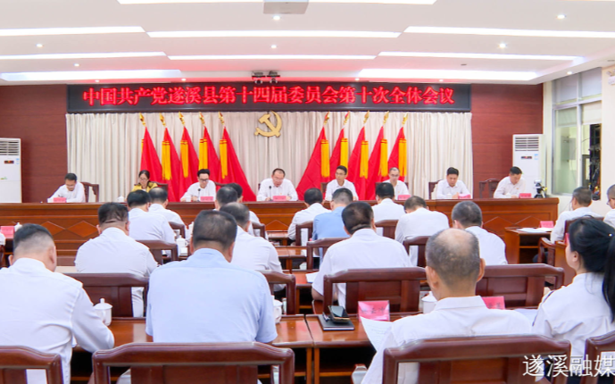 中国共产党遂溪县第十四届委员会第十次全体会议召开