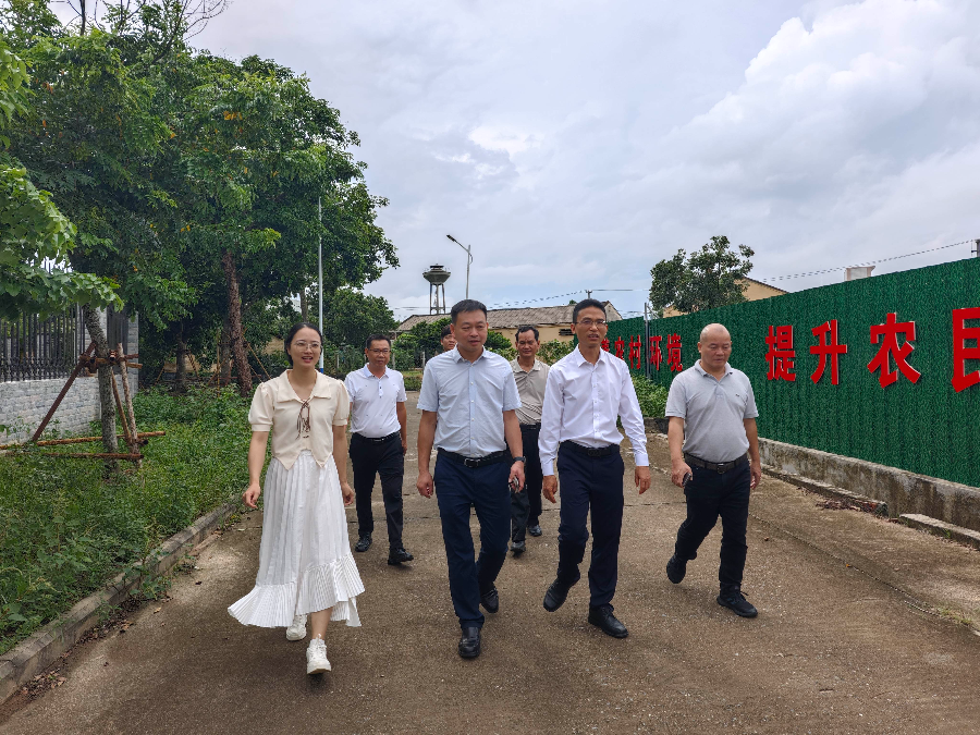 沈东宇率队到洋青镇调研典型村培育建设并开展群众接访活动