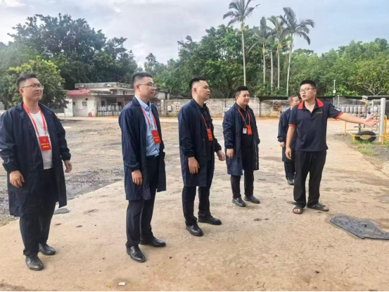河头镇人大:开展《中华人民共和国消防法》执法检查