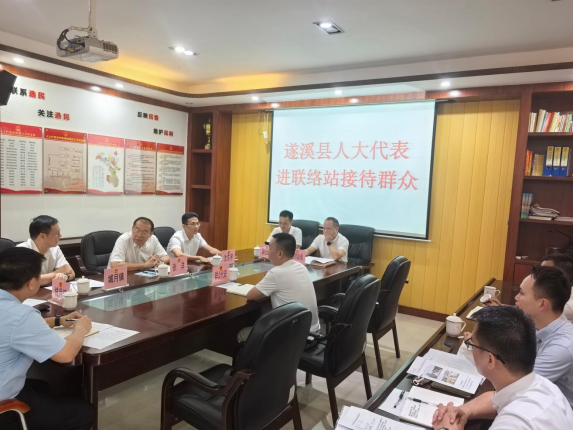 张洋到城月镇人大代表中心联络站开展接待群众活动