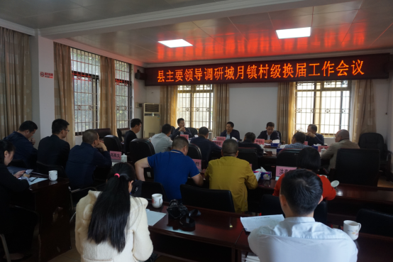 县政府主要领导到城月镇调研村级换届工作通讯稿96.png