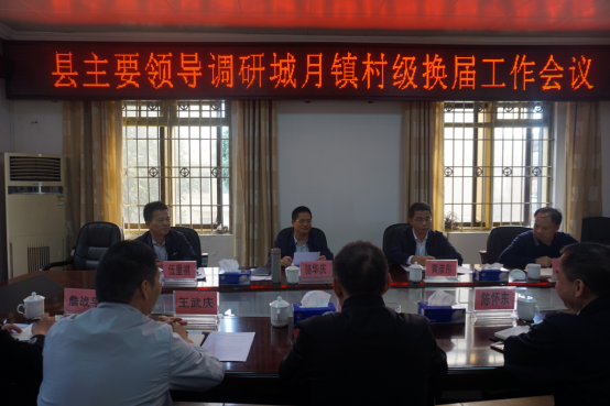 县政府主要领导到城月镇调研村级换届工作通讯稿807.png