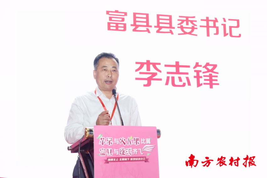 民政局 工作动态 【领导致辞】 富县县委书记李志锋:富县共有苹果37万