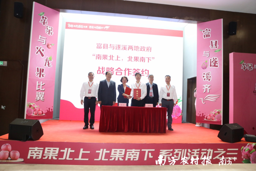 苹果与火龙果比翼 富县与遂溪齐飞