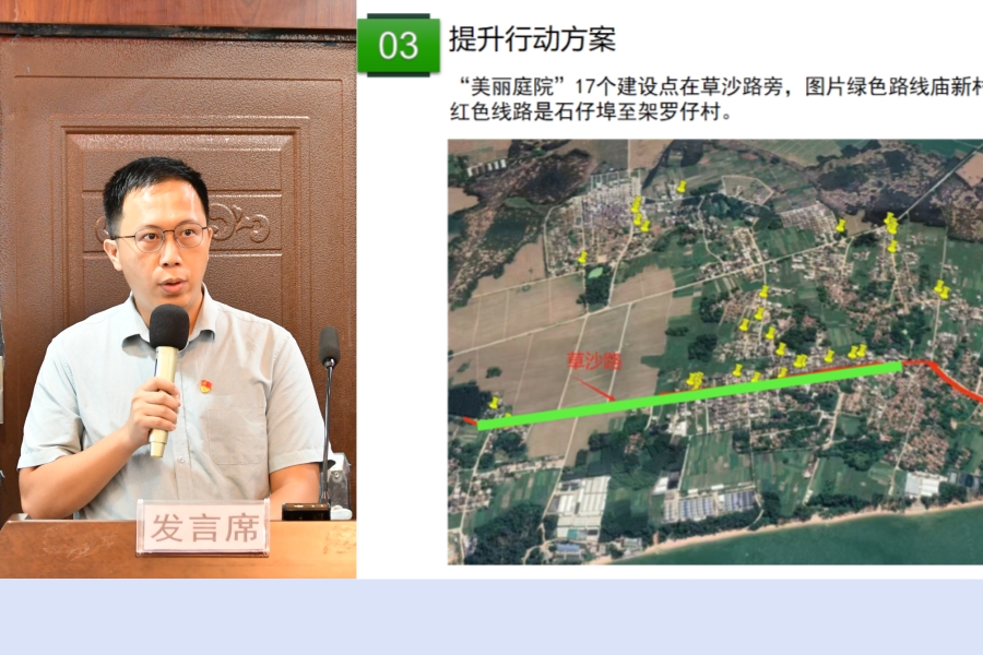 石杨.jpg