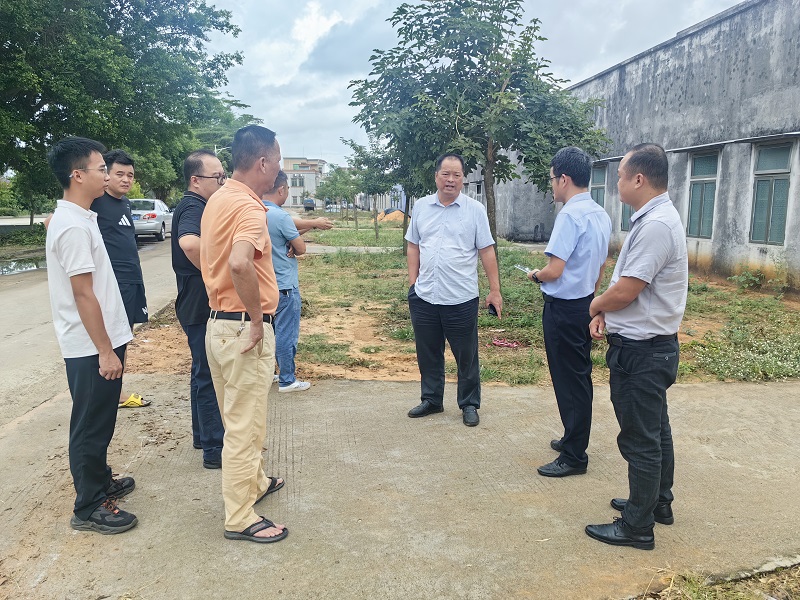 2 镇党委书记谭彤煜率队督导典型村建设.jpg