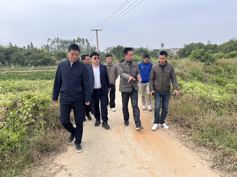 图2：驻镇工作队会同华南农业大学、广州铁路职业技术学院专家开展花生种植实地教学.jpg