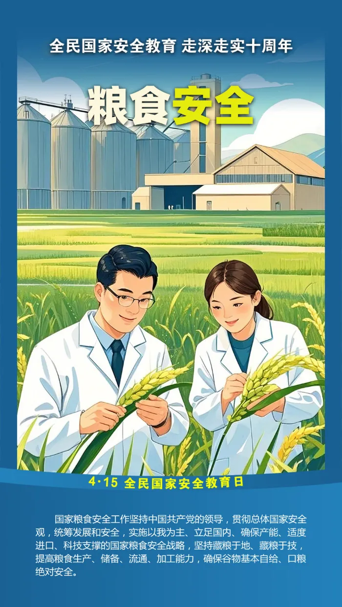 粮食安全.png