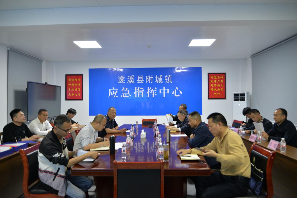 市应急管理局局长程进到遂溪县开展“镇自为战、村自为战”三防工作机制调研和平安夜访工作1.png