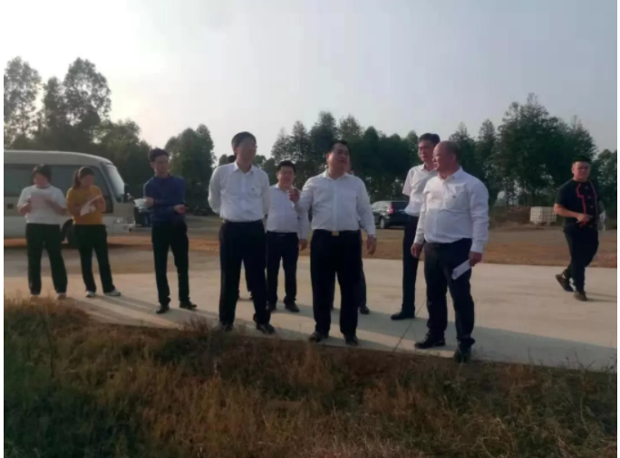 陈伟杰副市长率队实地调研遂溪县2019年卫片执法工作